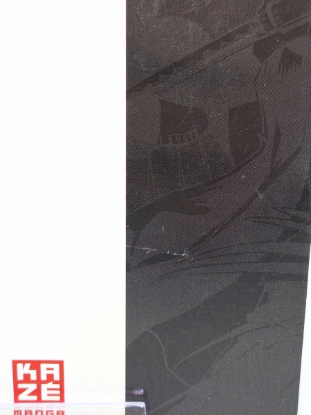 Nura: Herr der Yokai Band 15 + 17